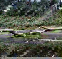 Kayaking Upper Tuross River and Bumbo Lake - Darwin Holiday
