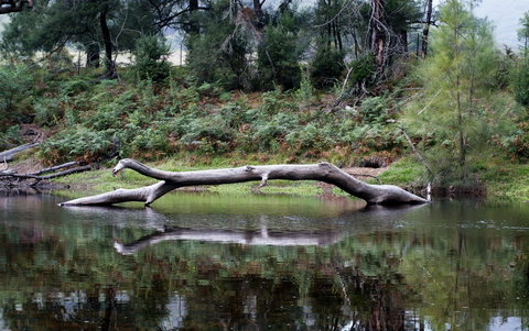 Kayaking Upper Tuross River And Bumbo Lake - Darwin Holiday 0