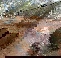 Kingsford Smith Mail Run - Darwin Holiday