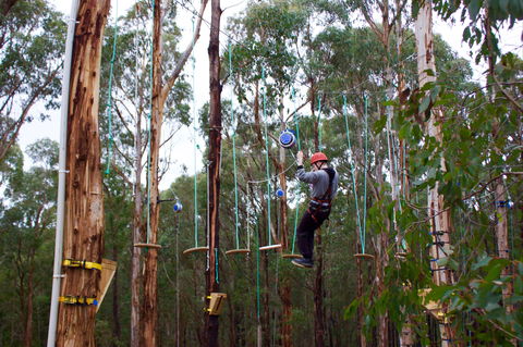 Kinglake Forest Adventures - Darwin Holiday 0