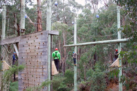 Kinglake Forest Adventures - Darwin Holiday 1