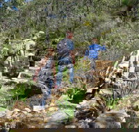 Kitty's Gorge Serpentine National Park - Darwin Holiday