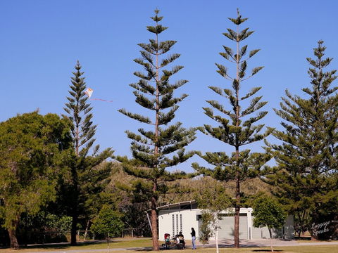 Kurrawa Park - Darwin Holiday 0
