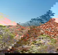 Lark Quarry Conservation Park - Darwin Holiday