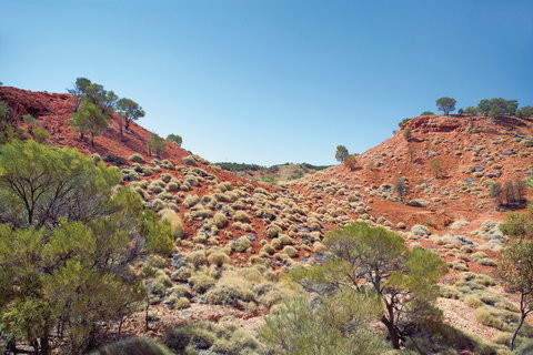 Lark Quarry Conservation Park - Darwin Holiday 0