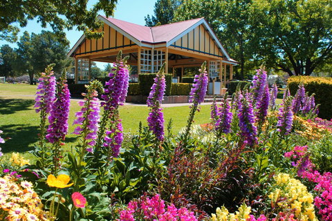 Laurel Bank Park - Darwin Holiday 0