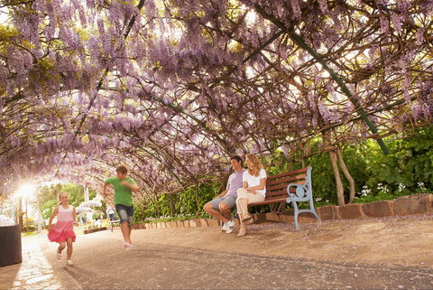Laurel Bank Park - Darwin Holiday 1