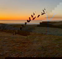 Lessismore Farm Afternoon Farmer - Darwin Holiday