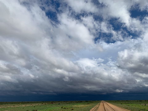 Long Paddock - Cobb Highway Touring Route - Darwin Holiday 1