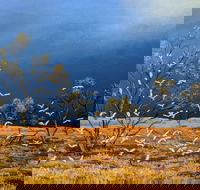 Lyn Barnes Gallery - Darwin Holiday