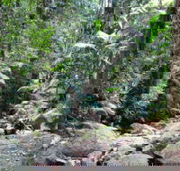 Lyrebird track - Darwin Holiday