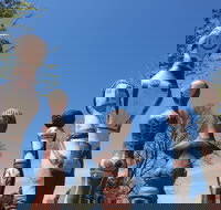 Mansfield Arts Walk - Darwin Holiday