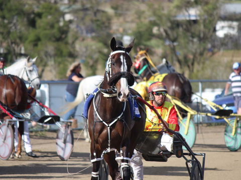Marburg Pacing Association - Darwin Holiday 1