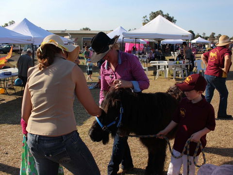 Marburg Pacing Association - Darwin Holiday 2