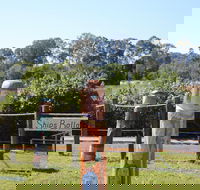 Maryboroughs Bollards - Darwin Holiday