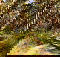 Mining Road Fire Trail Old Gibber Road Rire Trail - Darwin Holiday