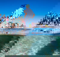 Monkey Mia - Darwin Holiday