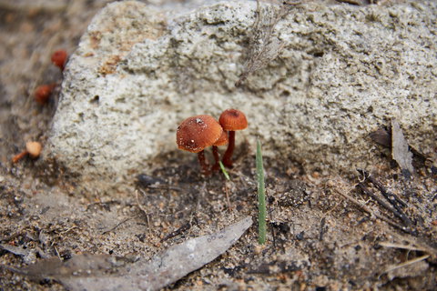 Moorooduc Quarry Walk & Stairs Circuit - Darwin Holiday 0