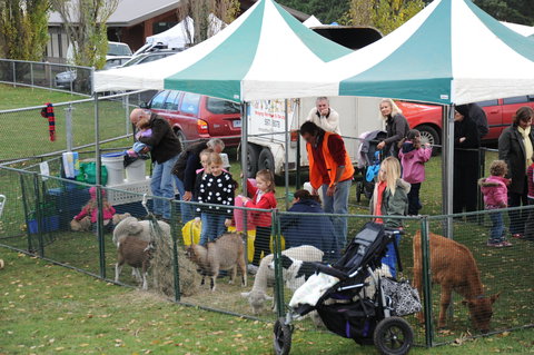 Mornington Racecourse Market - Darwin Holiday 2