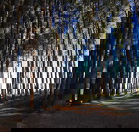 Mountain Bike Trails Tumbarumba - Darwin Holiday