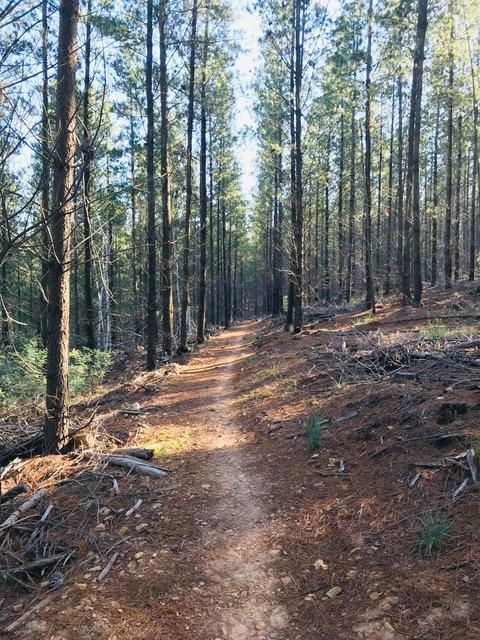 Mountain Bike Trails Tumbarumba - Darwin Holiday 1