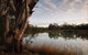 Murray-Kulkyne Regional Park - thumb 0