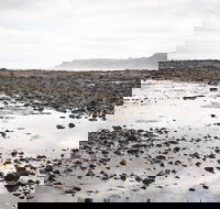 Mushroom Reef Beach - Darwin Holiday