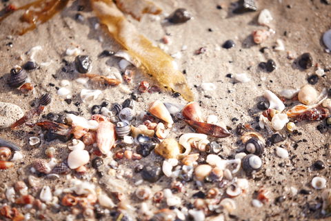 Mushroom Reef Beach - Darwin Holiday 1
