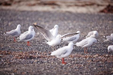 Mushroom Reef Beach - Darwin Holiday 2