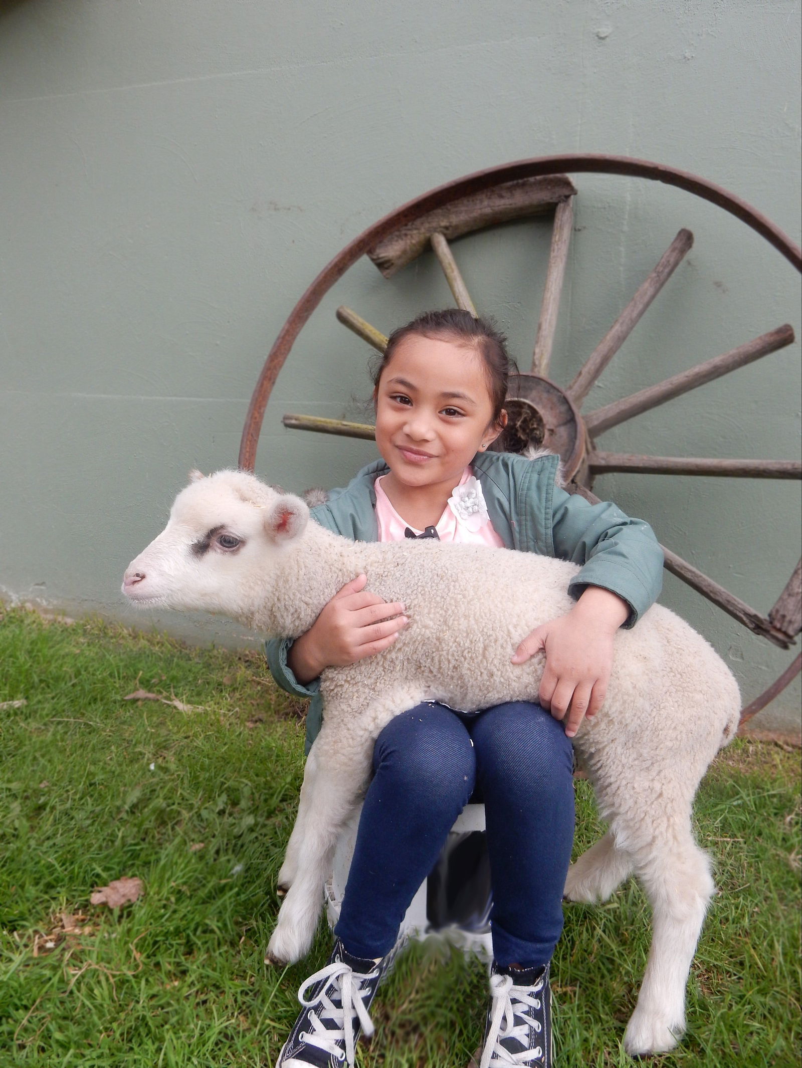 Doveton VIC Darwin Holiday