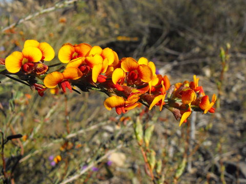 Nail Can Hill - Darwin Holiday 2