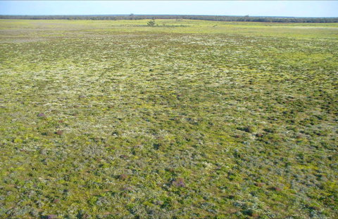 Nilla Yannagalang Billana - Darwin Holiday 0