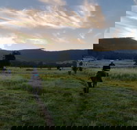 Numinbah Valley Adventure  Camping - Darwin Holiday