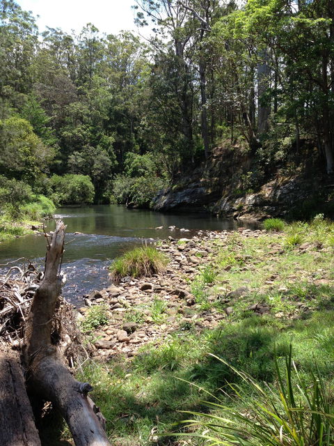 Numinbah Valley Adventure  Camping - Darwin Holiday 1