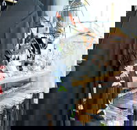 Oh JoJo Boutique - Darwin Holiday