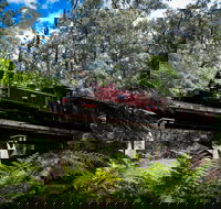 Puffing Billy Railway - Darwin Holiday
