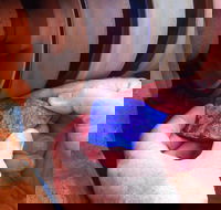 Quilpie Opal Fossicking - Darwin Holiday