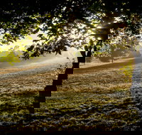 Ruffey Lake Park - Darwin Holiday