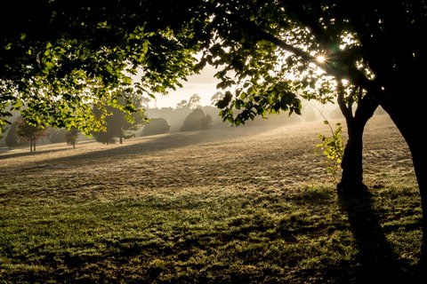 Ruffey Lake Park - Darwin Holiday 0