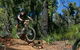 Scorpion Trail, Kalamunda Mountain Bike Trails - thumb 0