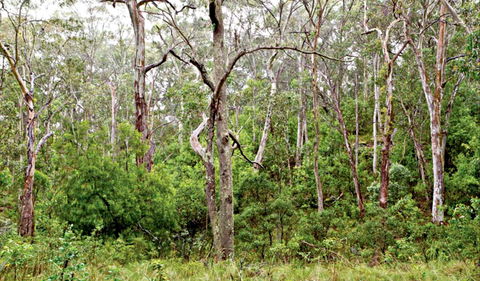 Scutts Hut Trail - Darwin Holiday 0