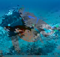 Second Reef Dive Site - Darwin Holiday