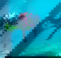 Shellharbour Scuba  and Photography Centre - Darwin Holiday