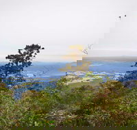 Slingsbys Trail and Syndicate Ridge Track - Darwin Holiday