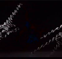 Sydney Dance Company - Darwin Holiday