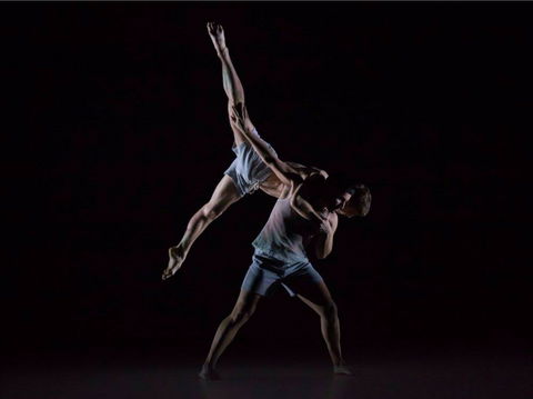 Sydney Dance Company - Darwin Holiday 0