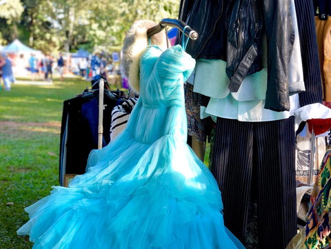 Tamborine Mountain State School Markets - Darwin Holiday 1