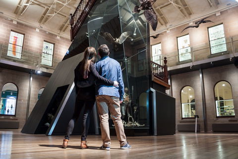 Tasmanian Museum And Art Gallery - Darwin Holiday 1
