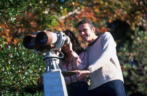 The Lookout Cambewarra Mountain - Darwin Holiday 1