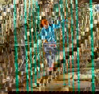 Trees Adventure Yeodene Park - Darwin Holiday